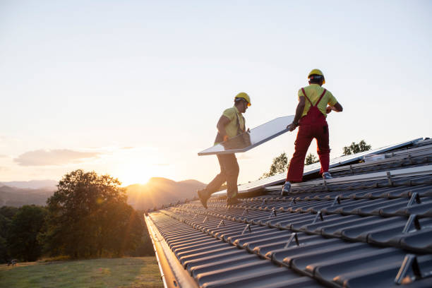 Best Roof Maintenance and Cleaning  in Wood River, IL